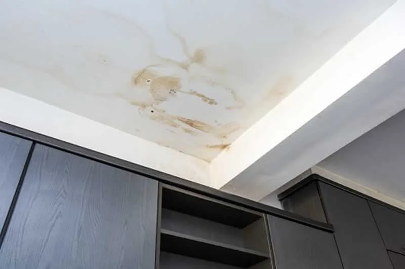 Early Signs of Roof Damage You Should Look Out For