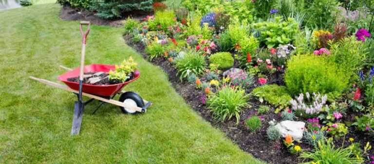 Garden Maintenance Checklist