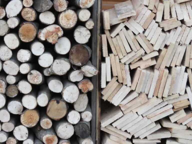 wood for construction and firewood
