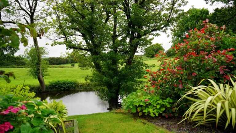 Transform Your Garden Into A Springtime Paradise