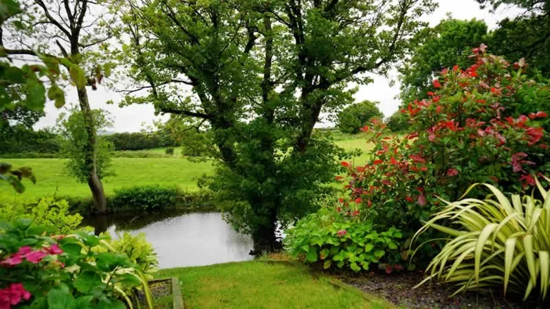 Transform Your Garden Into A Springtime Paradise