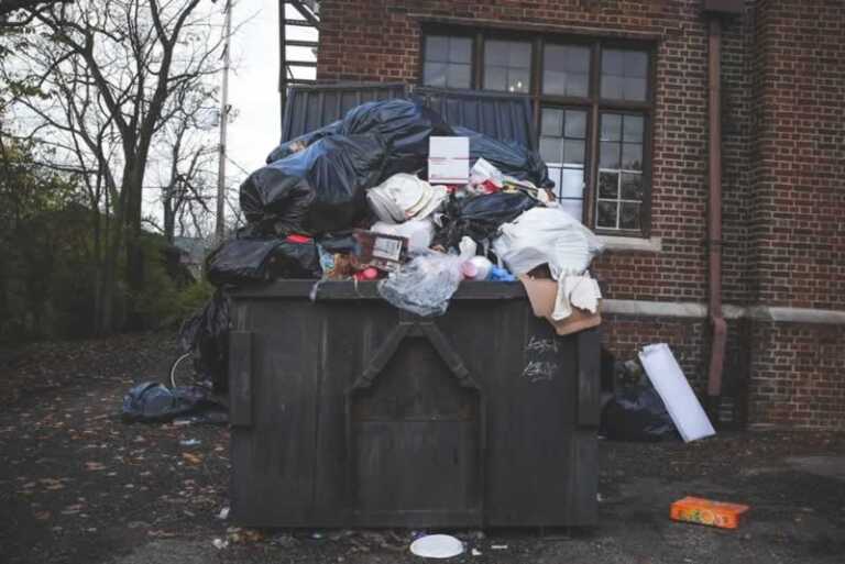 What to Consider When Looking for Skip Bins for Hire in Gold Coast
