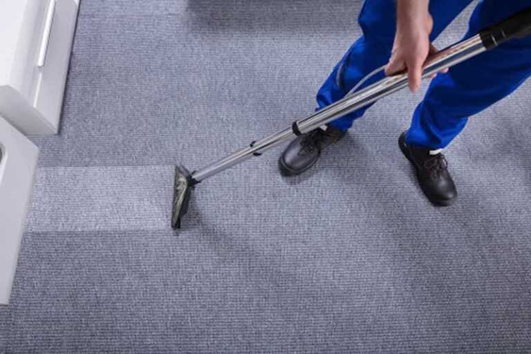 5 Reasons You Need Carpet Cleaning Services