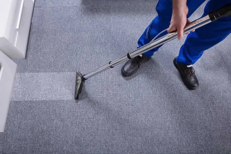 5 Reasons You Need Carpet Cleaning Services