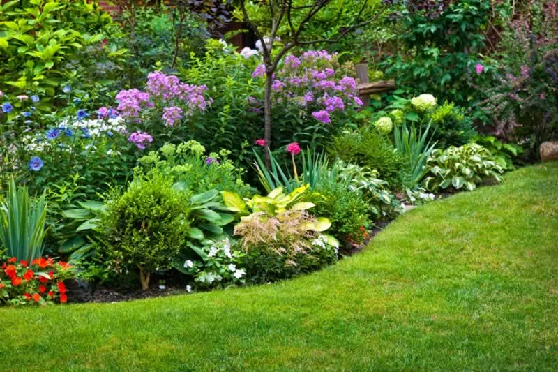 6 Beautiful Shrubs To Compliment Your Landscape Design