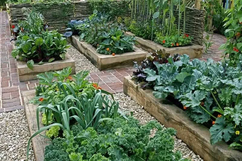 Easy DIY Ways to Make Your Plants Grow Healthier Than Ever