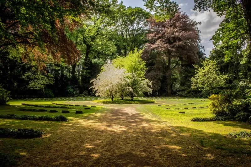 How To Landscape Around Trees And Shrubs