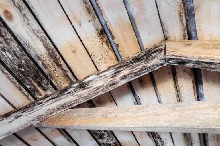 How to Protect Your Home from Water Damage