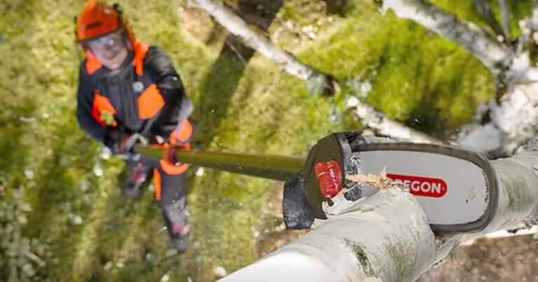 How to Use a Cordless Pole Saw