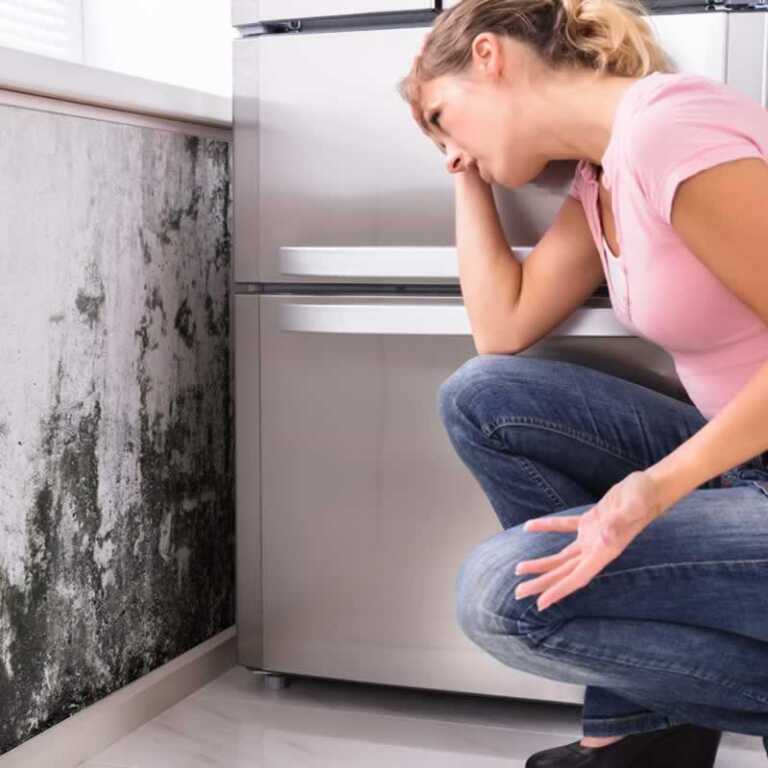 How to choose a company to help you with moisture problems