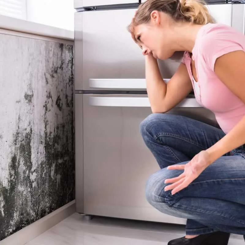 How to choose a company to help you with moisture problems