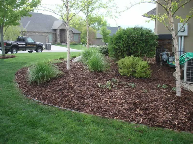 Pine Fines vs. Natural Mulch