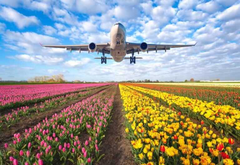 Top international flower delivery services worldwide