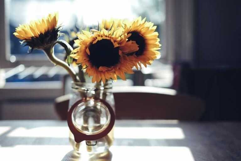 Want to Decorate Your Home With Flowers