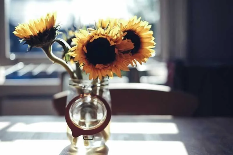 Want to Decorate Your Home With Flowers