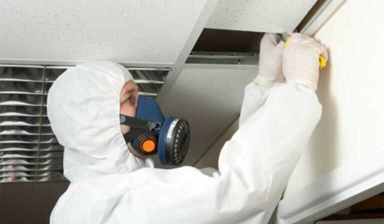 4 Things to Look Out for When Hiring an Asbestos Inspection Company
