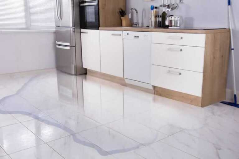 Appliance malfunction water damage
