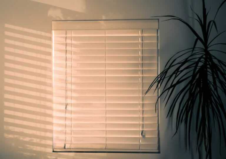 Expert Tips for Buying Window Blinds