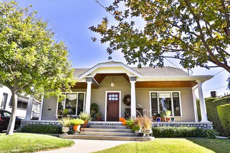 How to Take Care of Trees on Your Property