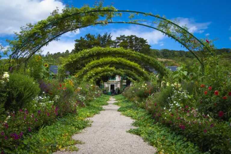 5 Best Reasons Why You Should Grow Your Garden And How To Get Started