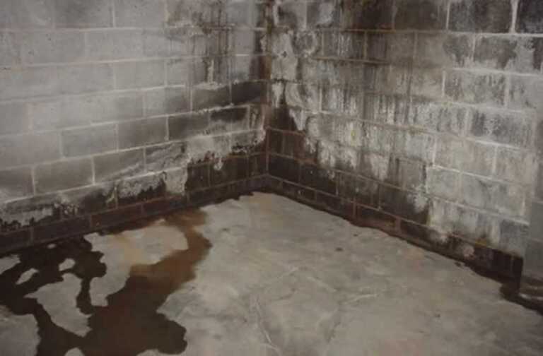 5 Subtle Warning Signs That You Have A Drainage Problems