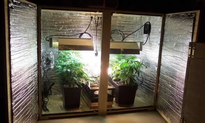An Easy Buying Guide To Grow Boxes