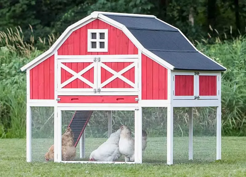 What Makes A Good Chicken Coop