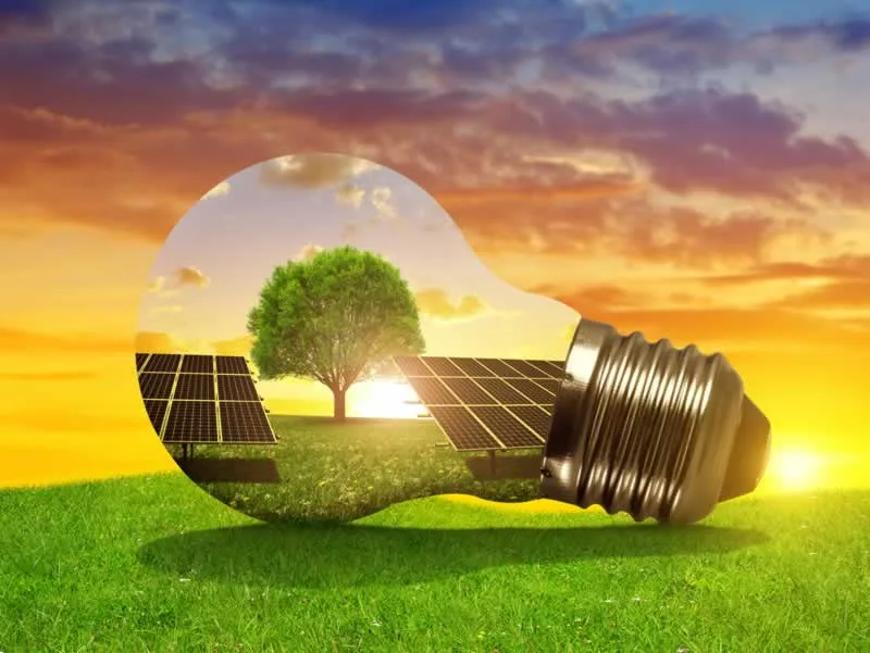 solar panels and a tree inside a light bulb