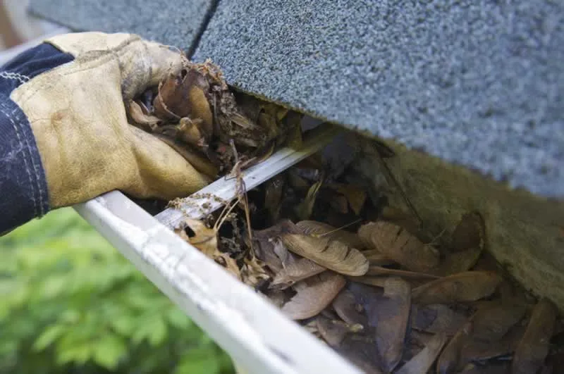5 Good reasons to keep your gutters Cleaned