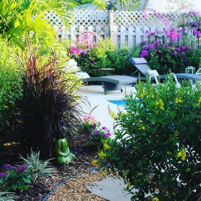 5 Ways to Improve Your Backyard Space