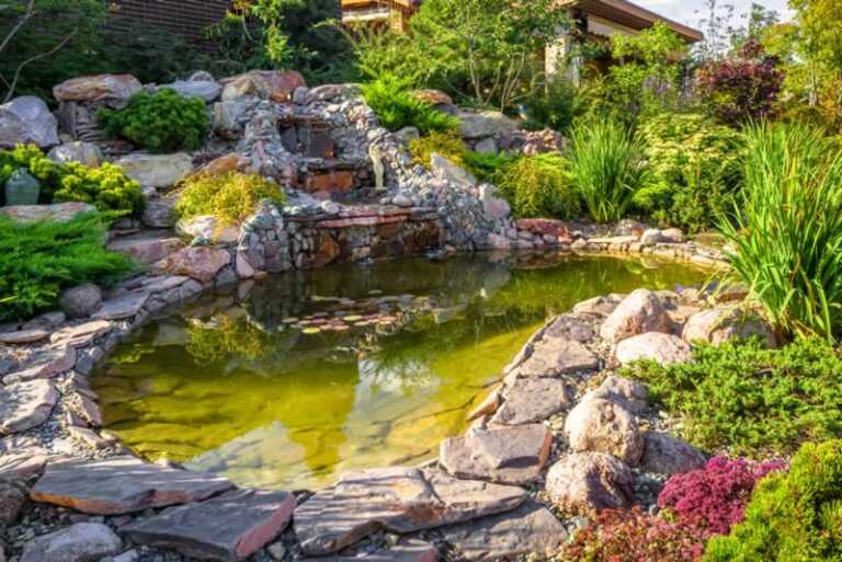 DIY Tips for Cleaning Your Garden Pond