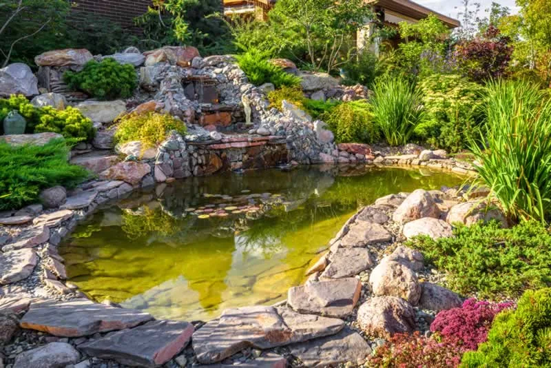 DIY Tips for Cleaning Your Garden Pond
