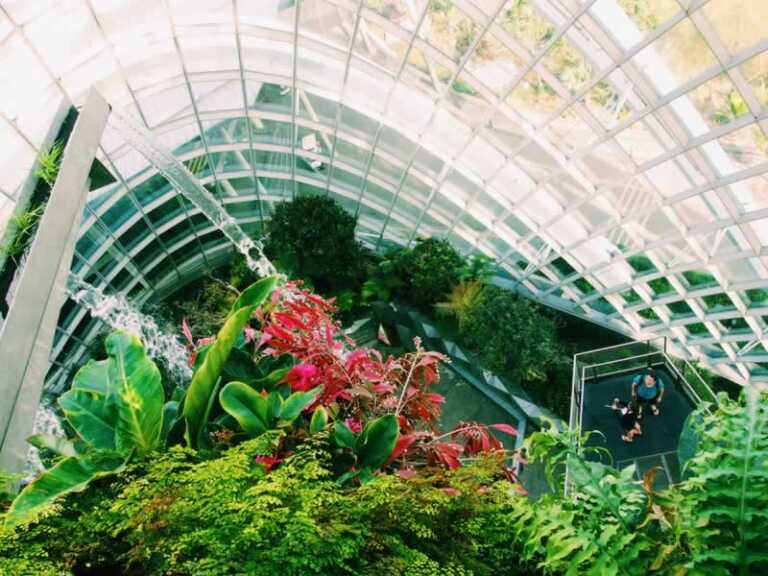 Greenhouse Care and Maintenance Tips From the Experts