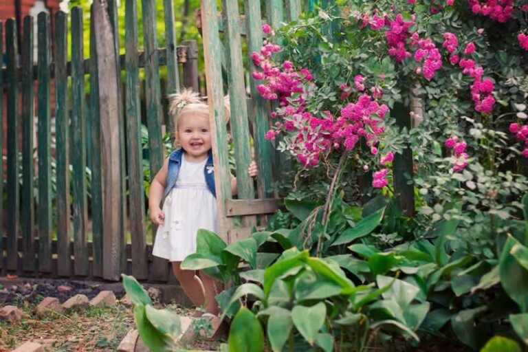 How to Easily Secure Your Yard
