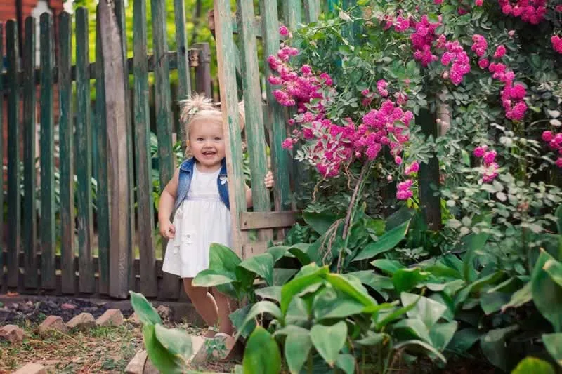 How to Easily Secure Your Yard