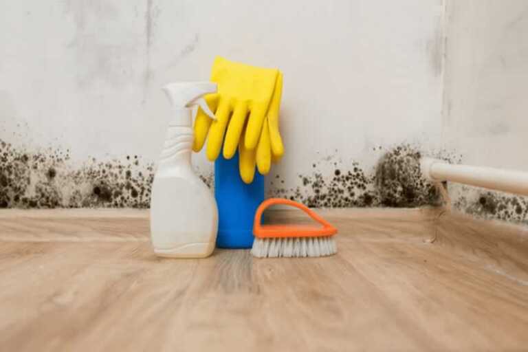 How to Get Rid Of Mold