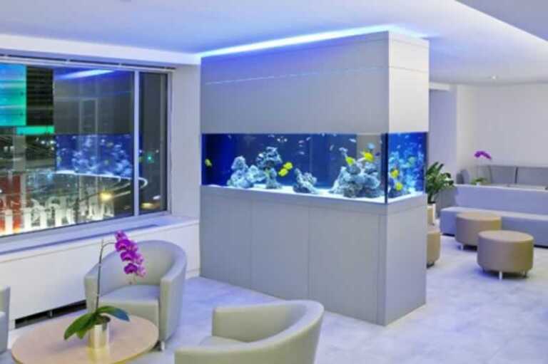 Simple Maintenance Tips for Your New Aquarium at Home