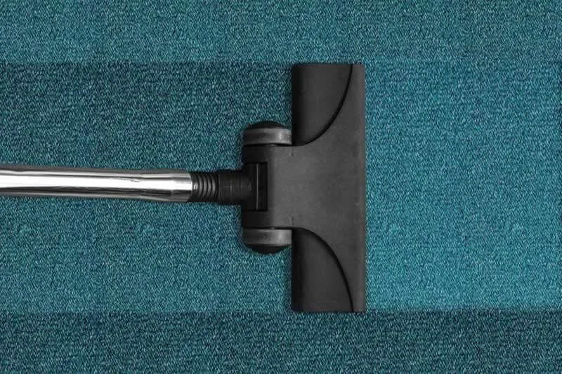 Some Basic Carpet Cleaning Rules