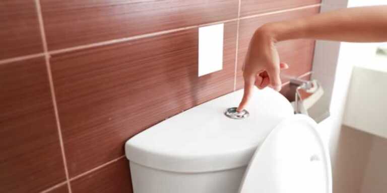 Toilet Flushing Do's and Don'ts According to The Pros