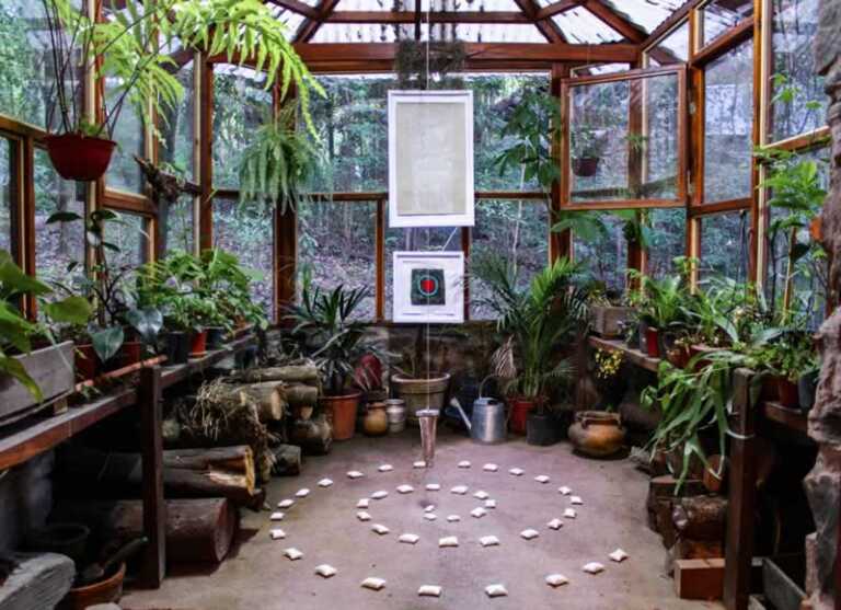 Top 4 Gardening Trends