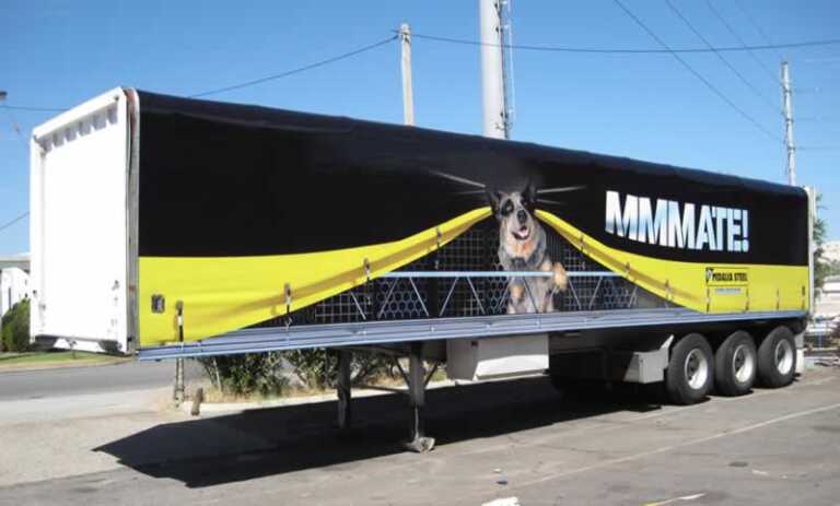 5 Basic Steps And Tips You Need To Know Before Hire Tarps Trucks