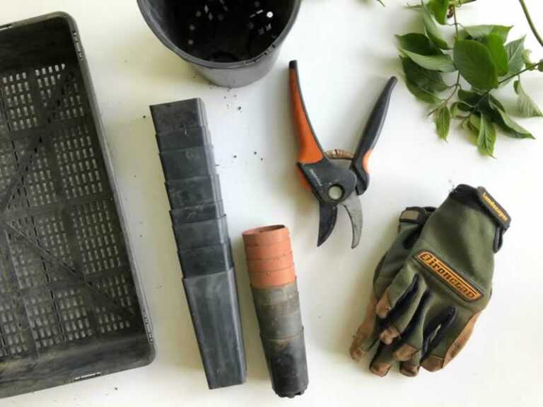 6 Expert Gardening Tips For The Winter Season