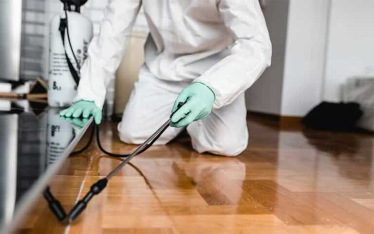 Actionable Strategies For Ramping Up Pest Control In The New Year
