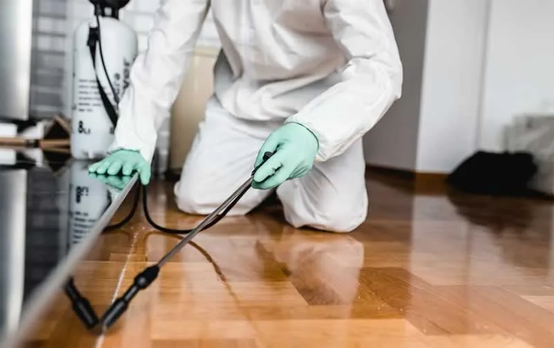 Actionable Strategies For Ramping Up Pest Control In The New Year