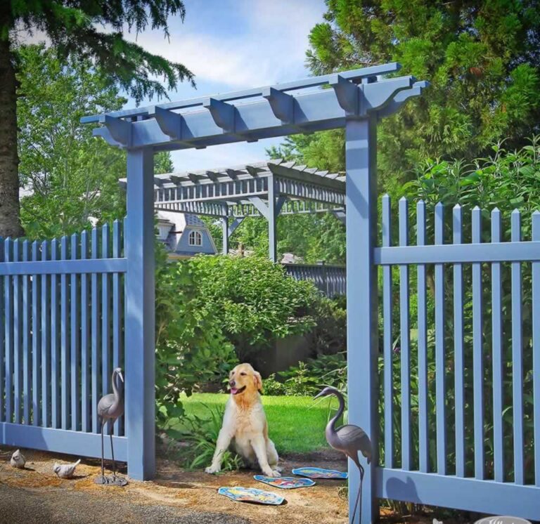 dog sitting at the blue PVC vinyl fence gate