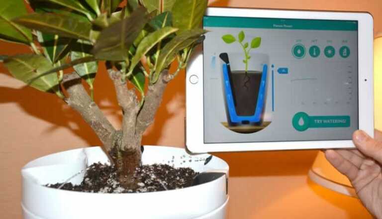 Smart and Eco-friendly Garden-care Tools
