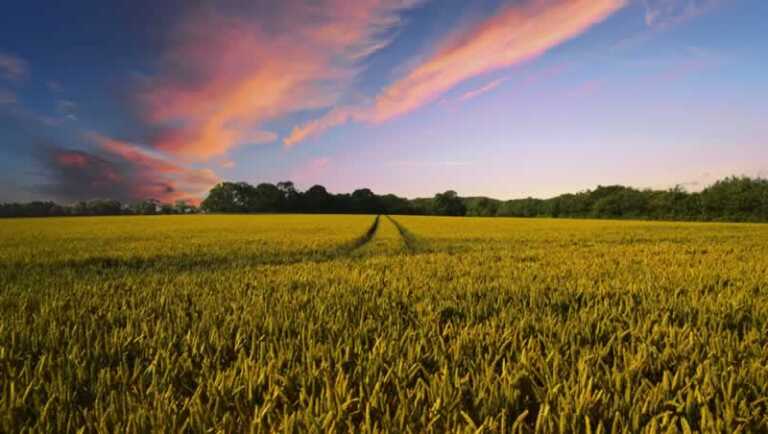 An Aspiring Farmer's Guide to Starting a Farm