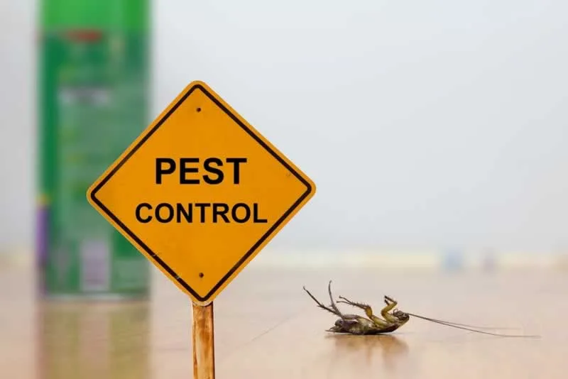 Effective Pest Control Methods
