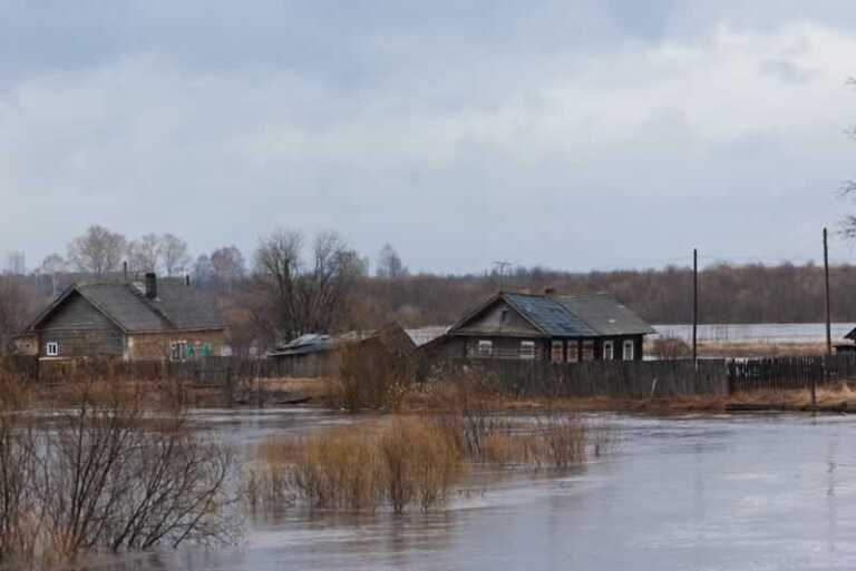 Restoring Your Home After a Flood in 7 Steps