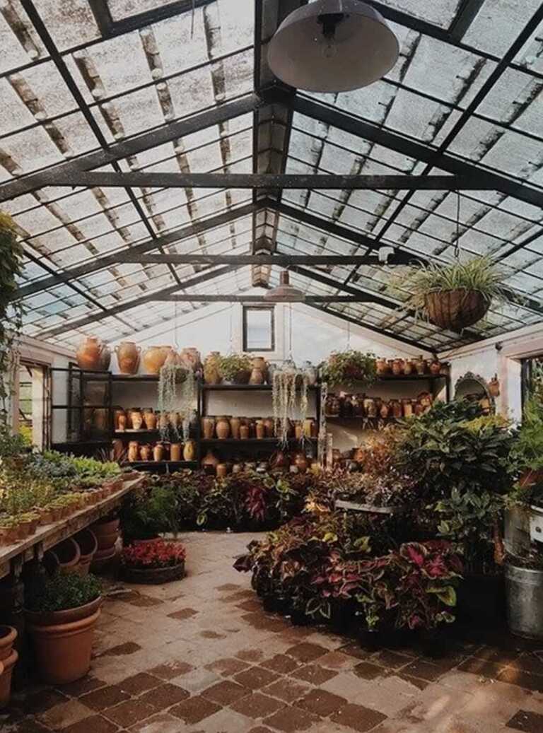 Tips for Creating the Perfect Greenhouse